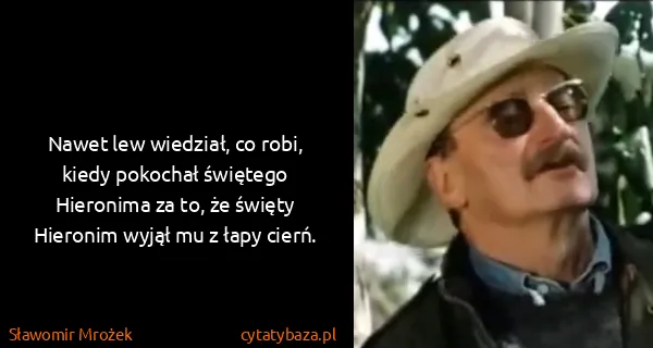 Sławomir Mrożek: Nawet lew wiedział, co robi, kiedy pokochał świętego...