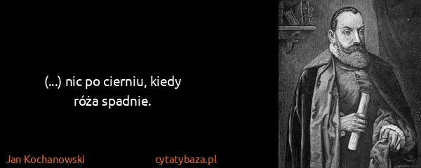 Jan Kochanowski: (...) nic po cierniu, kiedy róża spadnie.