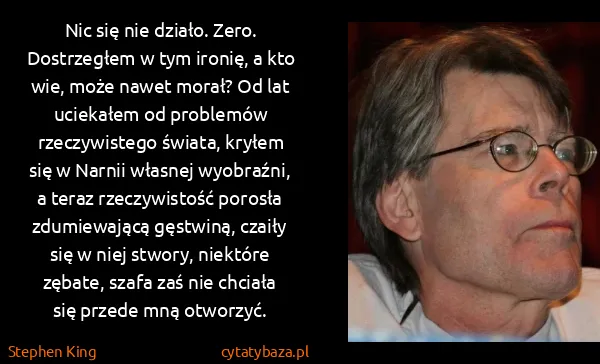 Stephen King: Nic się nie działo. Zero. Dostrzegłem w tym ironię, a...