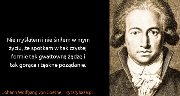 Johann Wolfgang von Goethe: Nie myślałem i nie śniłem w mym życiu, że spotkam w tak...