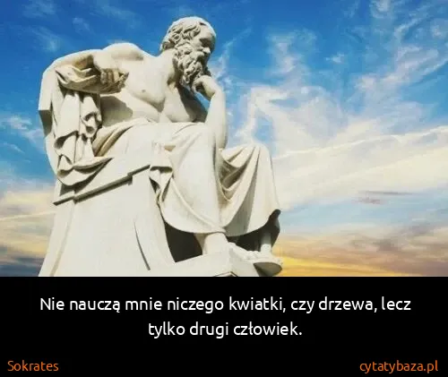 Sokrates: Nie nauczą mnie niczego kwiatki, czy drzewa, lecz tylko...