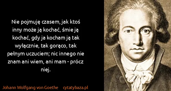 Johann Wolfgang von Goethe: Nie pojmuję czasem, jak ktoś inny może ją kochać, śmie...