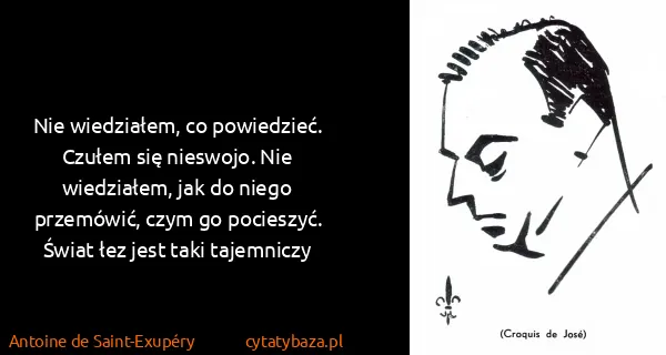 Antoine de Saint-Exupéry: Nie wiedziałem, co powiedzieć. Czułem się nieswojo. Nie...