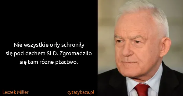 Leszek Miller: Nie wszystkie orły schroniły się pod dachem SLD....
