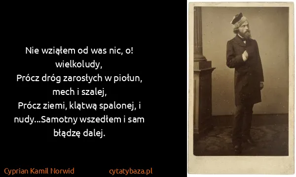 Cyprian Kamil Norwid: Nie wziąłem od was nic, o! wielkoludy,
Prócz dróg...