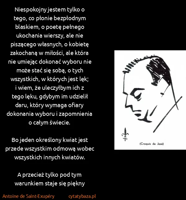 Antoine de Saint-Exupéry: Niespokojny jestem tylko o tego, co płonie bezpłodnym...