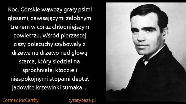 Cormac McCarthy: Noc. Górskie wąwozy grały psimi głosami, zawisającymi... Cormac McCarthy: Noc. Górskie wąwozy grały psimi głosami, zawisającymi...
