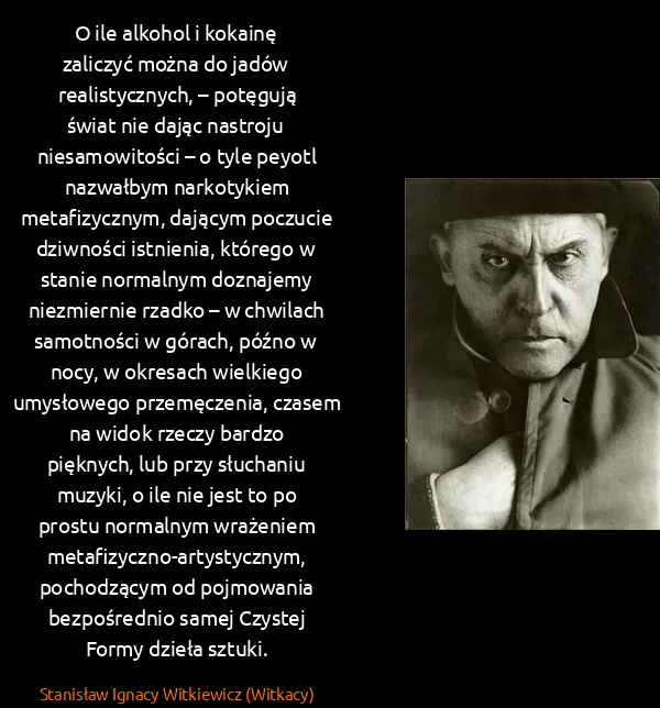 Stanisław Ignacy Witkiewicz (Witkacy): O ile alkohol i kokainę zaliczyć można do jadów...
