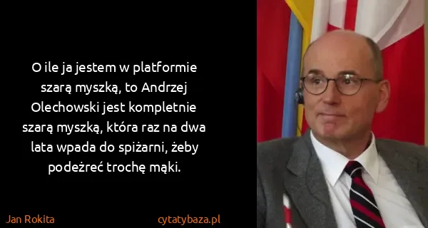 Jan Rokita: O ile ja jestem w platformie szarą myszką, to Andrzej...