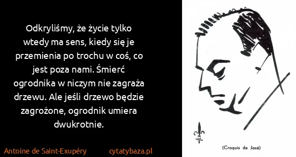 Antoine de Saint-Exupéry: Odkryliśmy, że życie tylko wtedy ma sens, kiedy się je...