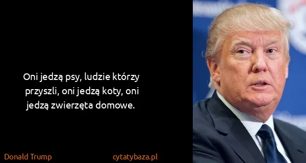 Donald Trump: Oni jedzą psy, ludzie którzy przyszli, oni jedzą koty,...