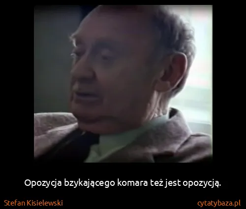 Stefan Kisielewski: Opozycja bzykającego komara też jest opozycją.