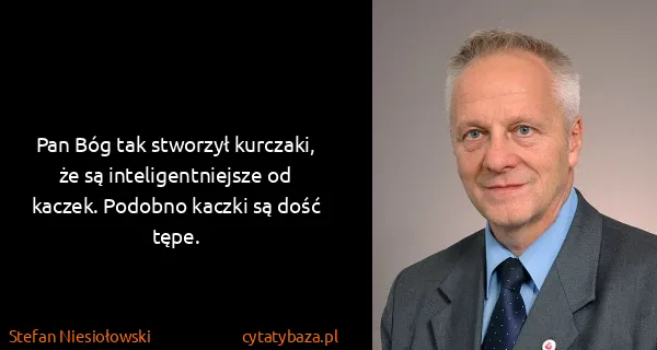 Stefan Niesiołowski: Pan Bóg tak stworzył kurczaki, że są inteligentniejsze...