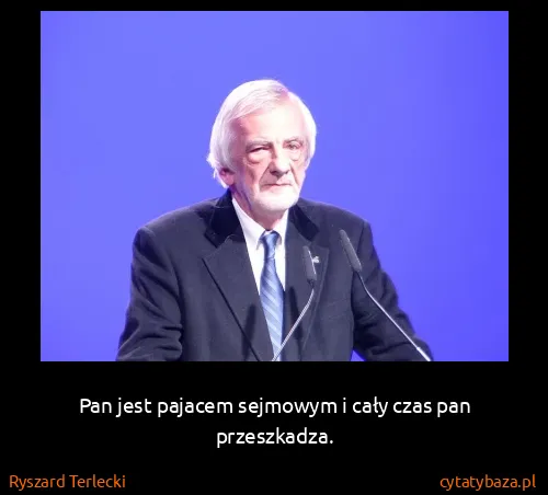 Ryszard Terlecki: Pan jest pajacem sejmowym i cały czas pan przeszkadza.
