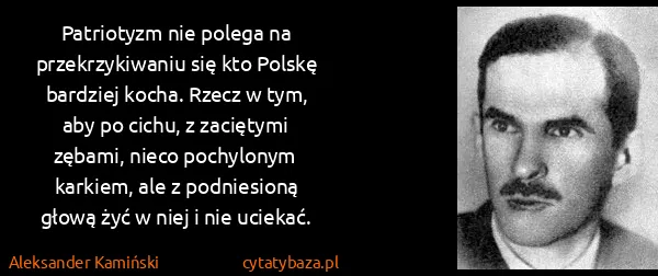 Aleksander Kamiński: Patriotyzm nie polega na przekrzykiwaniu się kto Polskę...