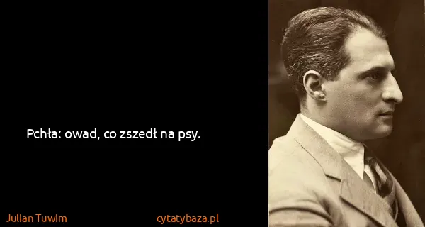 Julian Tuwim: Pchła: owad, co zszedł na psy.