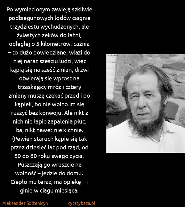 Aleksander Sołżenicyn: Po wymiecionym zawieją szkliwie podbiegunowych lodów...