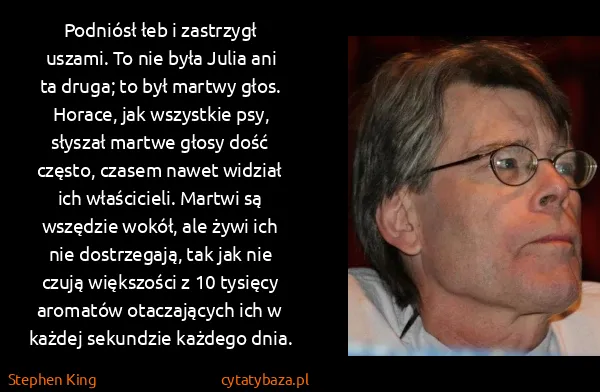 Stephen King: Podniósł łeb i zastrzygł uszami. To nie była Julia ani... Stephen King: Podniósł łeb i zastrzygł uszami. To nie była Julia ani...