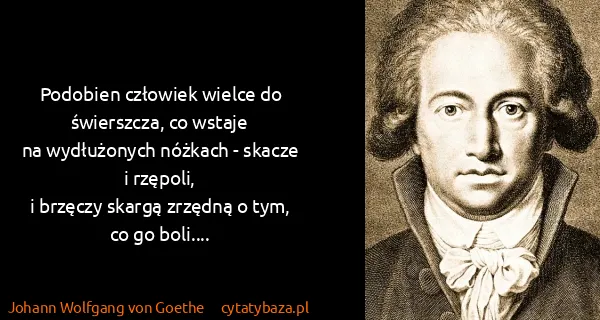 Johann Wolfgang von Goethe: Podobien człowiek wielce do świerszcza, co wstaje 
na...