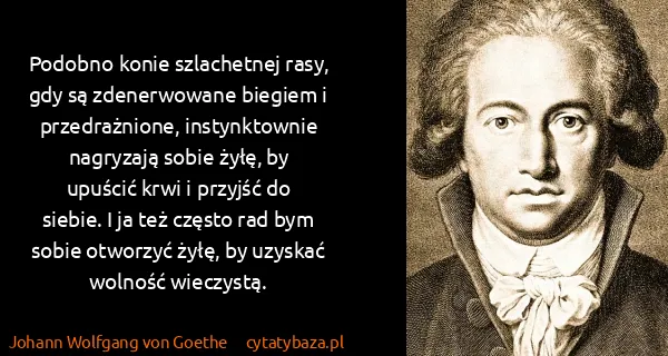 Johann Wolfgang von Goethe: Podobno konie szlachetnej rasy, gdy są zdenerwowane...