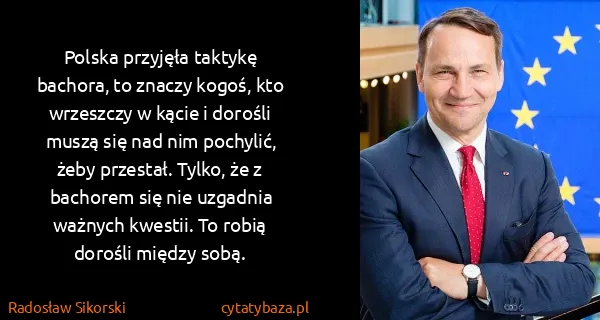 Radosław Sikorski: Polska przyjęła taktykę bachora, to znaczy kogoś, kto...