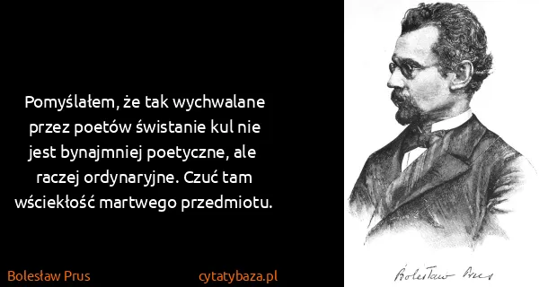 Bolesław Prus: Pomyślałem,  że tak wychwalane przez poetów świstanie...