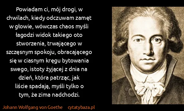 Johann Wolfgang von Goethe: Powiadam ci, mój drogi, w chwilach, kiedy odczuwam zamęt...