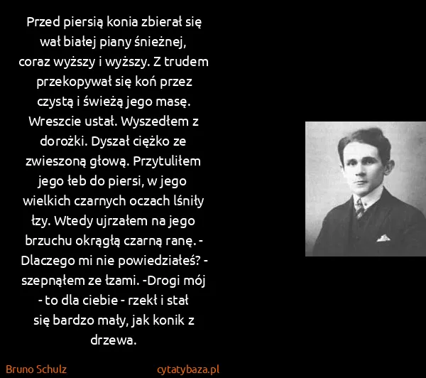 Bruno Schulz: Przed piersią konia zbierał się wał białej piany...