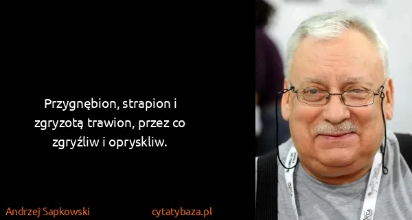 Andrzej Sapkowski: Przygnębion, strapion i zgryzotą trawion, przez co...