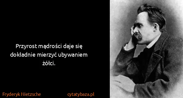 Fryderyk Nietzsche: Przyrost mądrości daje się dokładnie mierzyć ubywaniem...