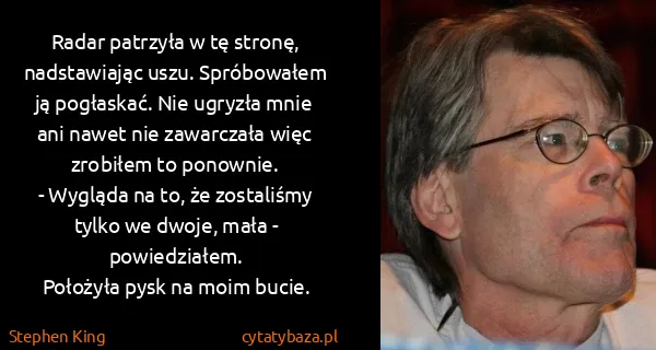Stephen King: Radar patrzyła w tę stronę, nadstawiając uszu....