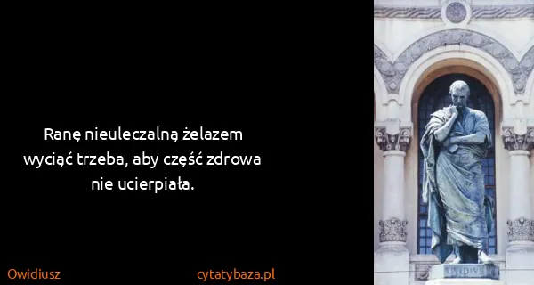Owidiusz: Ranę nieuleczalną żelazem wyciąć trzeba, aby część...