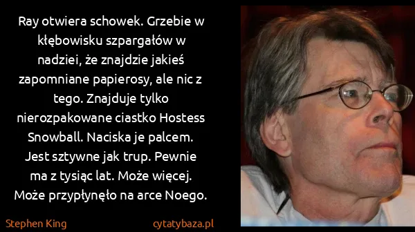 Stephen King: Ray otwiera schowek. Grzebie w kłębowisku szpargałów w...