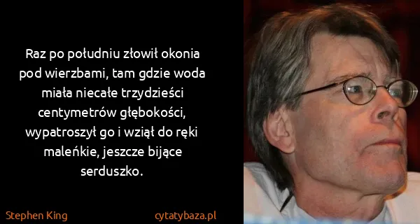 Stephen King: Raz po południu złowił okonia pod wierzbami, tam gdzie...