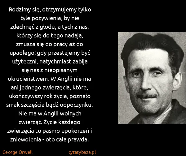 George Orwell: Rodzimy się, otrzymujemy tylko tyle pożywienia, by nie...