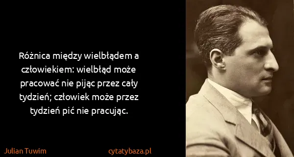 Julian Tuwim: Różnica między wielbłądem a człowiekiem: wielbłąd może...