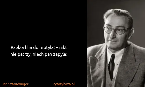 Jan Sztaudynger: Rzekła lilia do motyla: – nikt nie patrzy, niech pan...