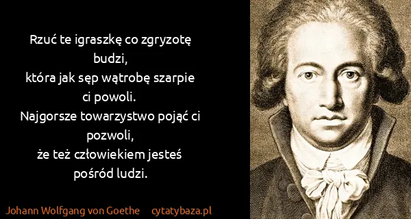 Johann Wolfgang von Goethe: Rzuć te igraszkę co zgryzotę budzi,
która jak sęp...