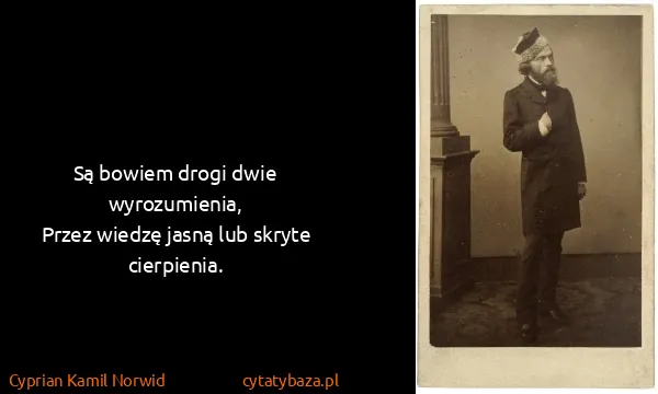 Cyprian Kamil Norwid: Są bowiem drogi dwie wyrozumienia,
Przez wiedzę jasną...