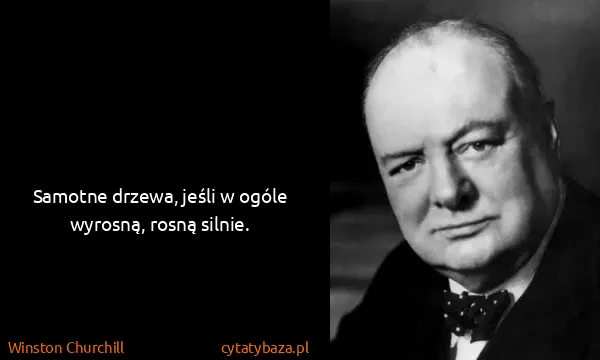 Winston Churchill: Samotne drzewa, jeśli w ogóle wyrosną, rosną silnie. 