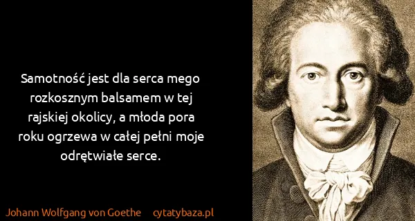 Johann Wolfgang von Goethe: Samotność jest dla serca mego rozkosznym balsamem w tej...