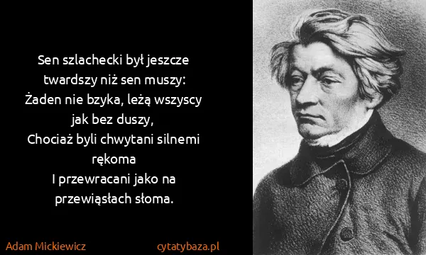 Adam Mickiewicz: Sen szlachecki był jeszcze twardszy niż sen muszy:
Żaden...