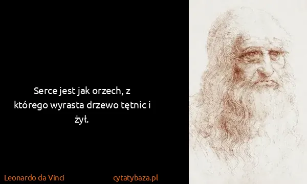 Leonardo da Vinci: Serce jest jak orzech, z którego wyrasta drzewo tętnic i...