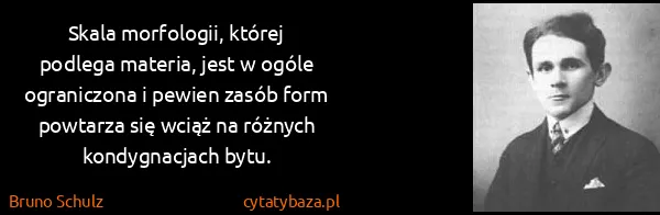 Bruno Schulz: Skala morfologii, której podlega materia, jest w ogóle...