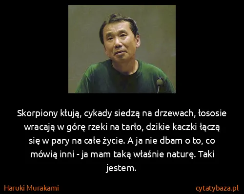 Haruki Murakami: Skorpiony kłują, cykady siedzą na drzewach, łososie...