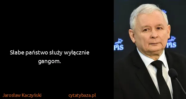 Jarosław Kaczyński: Słabe państwo służy wyłącznie gangom.