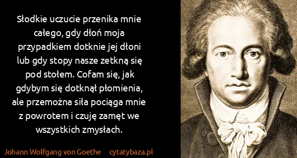 Johann Wolfgang von Goethe: Słodkie uczucie przenika mnie całego, gdy dłoń moja...