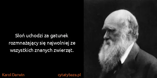 Karol Darwin: Słoń uchodzi za gatunek rozmnażający się najwolniej ze...