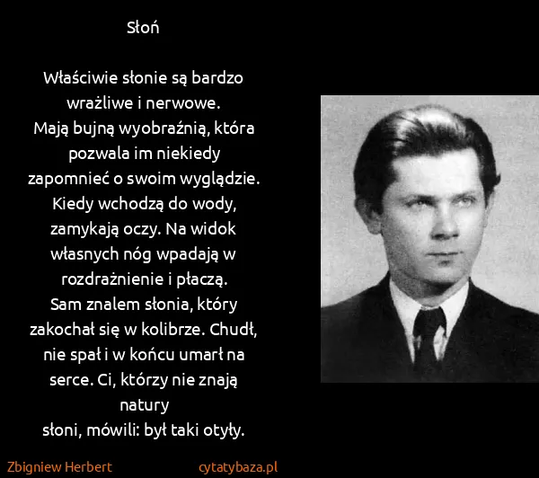 Zbigniew Herbert: Słoń

Właściwie słonie są bardzo wrażliwe i nerwowe....