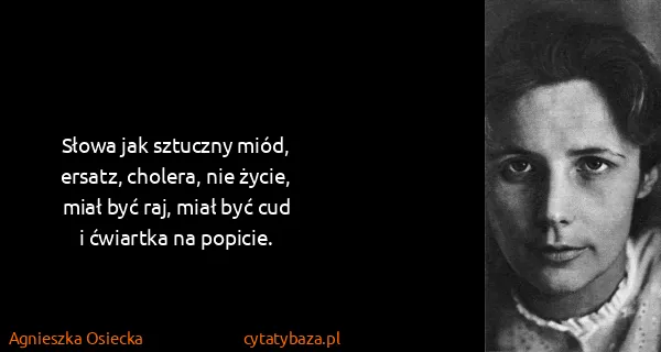 Agnieszka Osiecka: Słowa jak sztuczny miód,
ersatz, cholera, nie...
